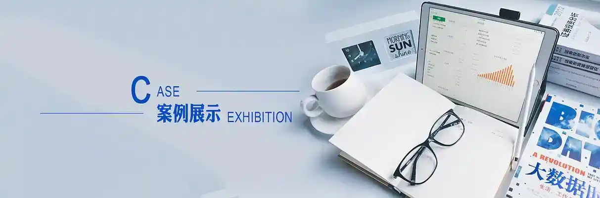 涪城区软件开发